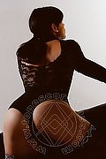 Perugia - Ancona - Parma - Piacenza - Milano - Genova Escort Helene Castelli 333 9561638 foto 3322